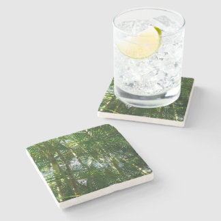 Posavasos De Piedra Bosque de palmeras Naturaleza tropical