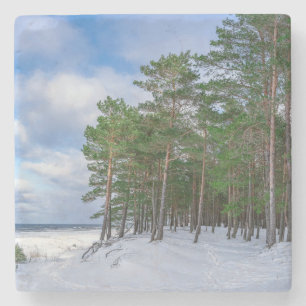 Posavasos De Piedra Bosque de pino cerca de la costa marítima de Leton