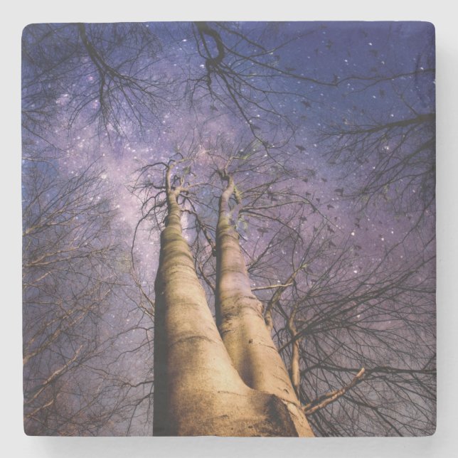 Posavasos De Piedra Bosque encantado (Anverso)
