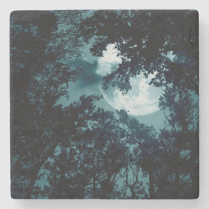 Posavasos De Piedra Bosque Encantador Nocturno con Luna Llena