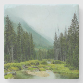 Posavasos De Piedra Bosque Grand Teton Misty
