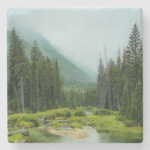 Posavasos De Piedra Bosque Grand Teton Misty
