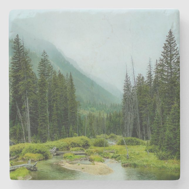Posavasos De Piedra Bosque Grand Teton Misty (Anverso)