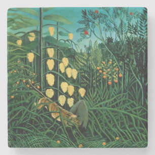 Posavasos De Piedra Bosque tropical