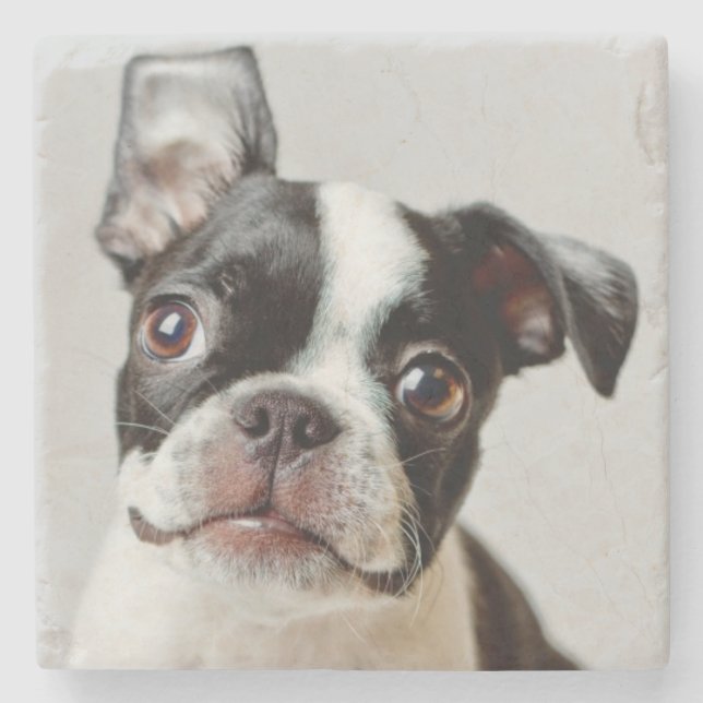 Posavasos De Piedra Boston Terrier (Anverso)