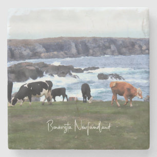 Posavasos De Piedra Bovino Bonavista de Terranova