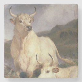 Posavasos De Piedra Bovino salvaje de Chillingham (vacas)