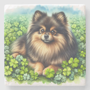 Posavasos De Piedra Brindle Pomeranian Watercolor Clover Shamrock