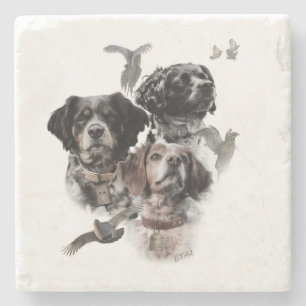 Posavasos De Piedra Brittany Spaniel