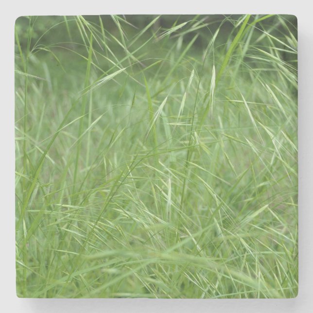 Posavasos De Piedra Bromus tectorum (Anverso)