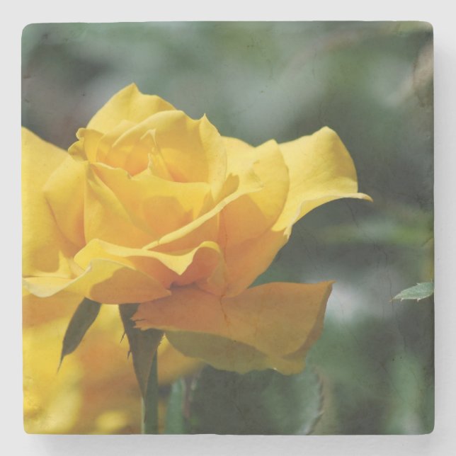 Posavasos De Piedra Brote de oro del rosa amarillo (Anverso)