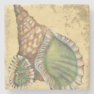 Posavasos De Piedra Brown y Seashell verde