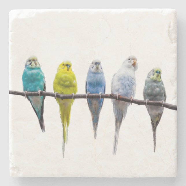 Posavasos De Piedra Budgies (Anverso)