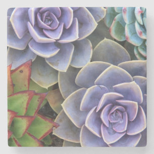 Posavasos De Piedra Buen Bouquet