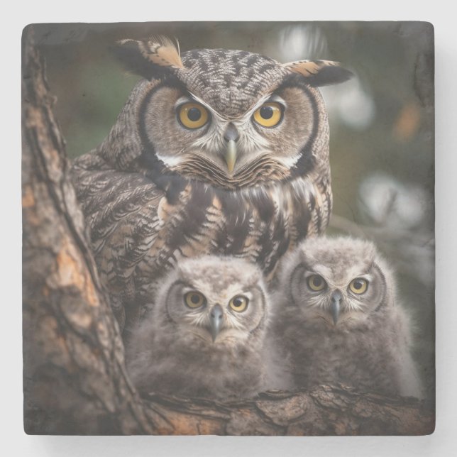 Posavasos De Piedra Búho Familia Stone Coaster (Anverso)
