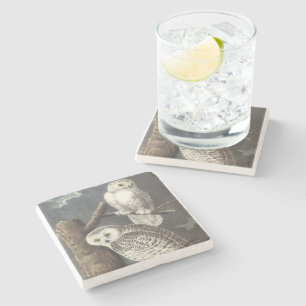 Posavasos De Piedra Búho Nevado por Audubon