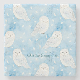 Posavasos De Piedra Búhos Blancos Azules