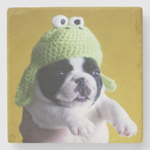 Posavasos De Piedra Bulldog francés