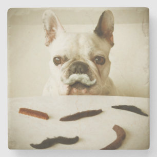 Posavasos De Piedra Bulldog francés con un bigote