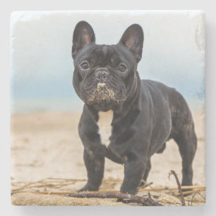 Posavasos De Piedra Bulldog francés jugando en la arena