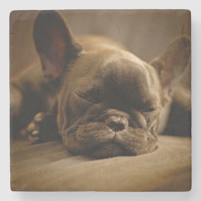 Posavasos De Piedra Bulldog francés soñoliento (Anverso)