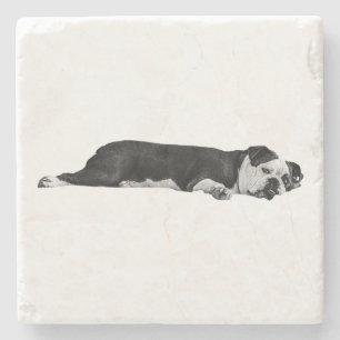 Posavasos De Piedra Bulldog perezoso, mesa de Neat