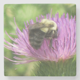 Posavasos De Piedra Bumblebee On Thistle