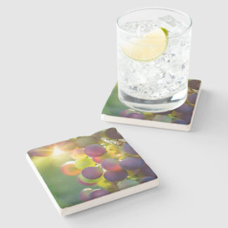 Posavasos De Piedra Bunch of Grapes