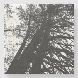 Posavasos De Piedra Buscar en los árboles