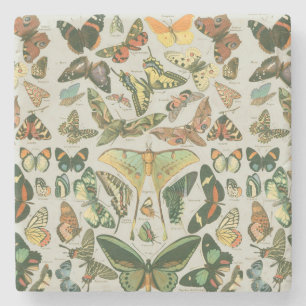 Posavasos De Piedra Butterfly Vintage Antiguo Butterflies Art
