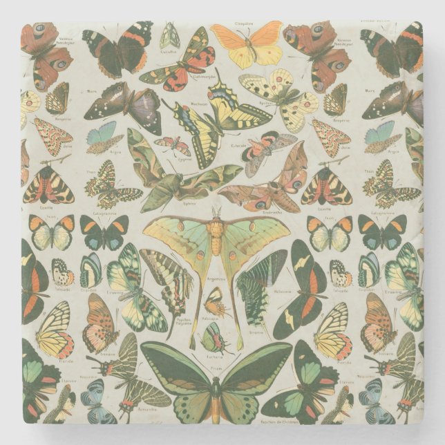 Posavasos De Piedra Butterfly Vintage Antiguo Butterflies Art (Anverso)
