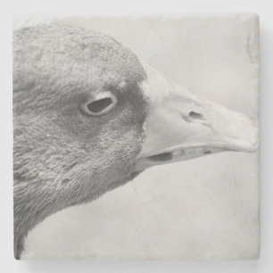 Posavasos De Piedra BW Goose