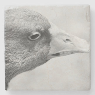 Posavasos De Piedra BW Goose