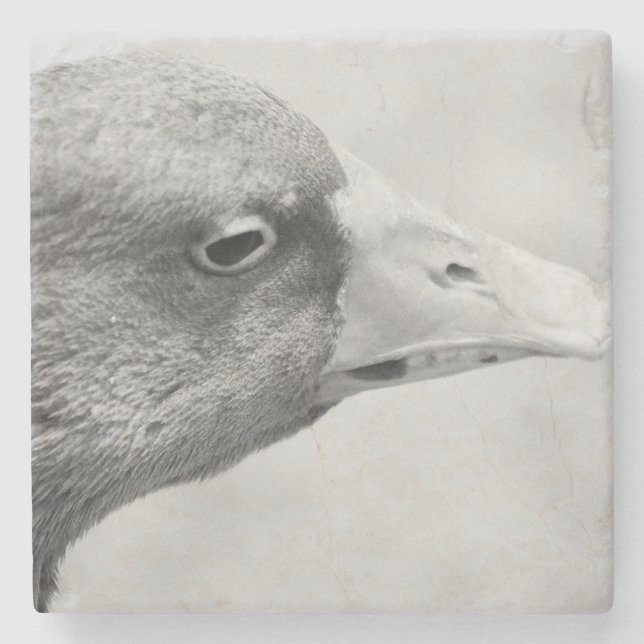 Posavasos De Piedra BW Goose (Anverso)