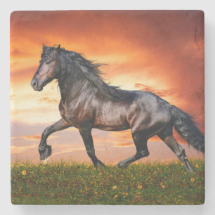 Posavasos De Piedra Caballo
