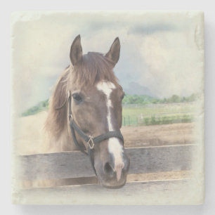 Posavasos De Piedra Caballo de Brown con el halter