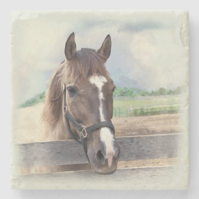 Posavasos De Piedra Caballo de Brown con el halter (Anverso)