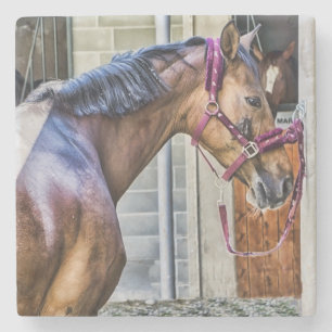 Posavasos De Piedra Caballo en Barn