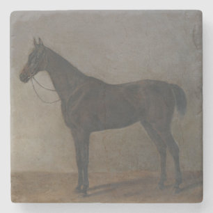 Posavasos De Piedra Caballo Gelding Bay (por Albrecht Adam)