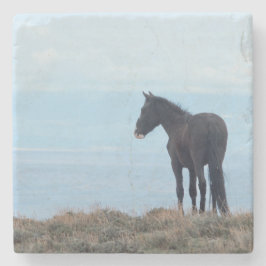 Posavasos De Piedra Caballo salvaje