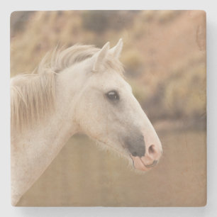 Posavasos De Piedra Caballo salvaje blanco