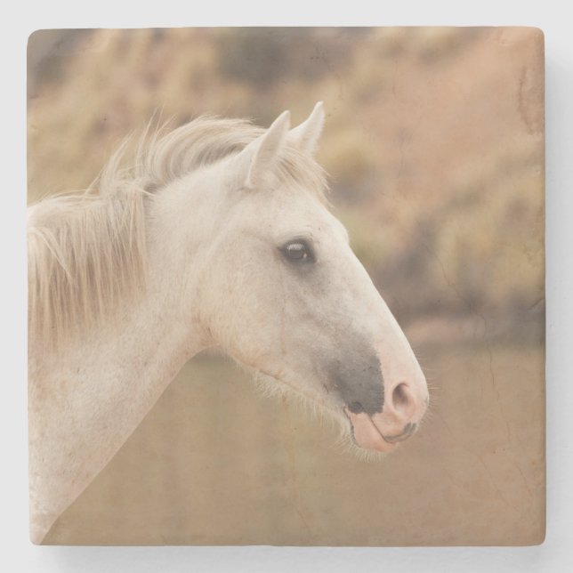 Posavasos De Piedra Caballo salvaje blanco (Anverso)