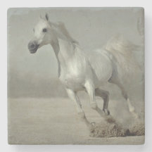 Caballo salvaje que corre libremente