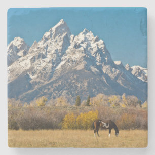 Posavasos De Piedra Caballo y Grandes Tetones, Rancho Moose Head
