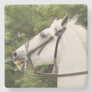 POSAVASOS DE PIEDRA CABALLOS