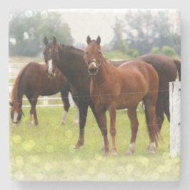 Posavasos De Piedra Caballos