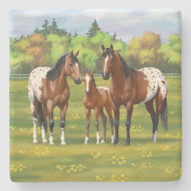 Posavasos De Piedra Caballos Appaloosa De La Bahía Marrón En Pastel De (Anverso)