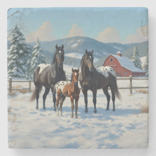 Posavasos De Piedra Caballos Appaloosa negros en una granja en inviern