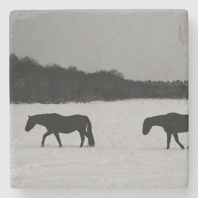 Posavasos De Piedra Caballos con coasterca de nieve (Anverso)