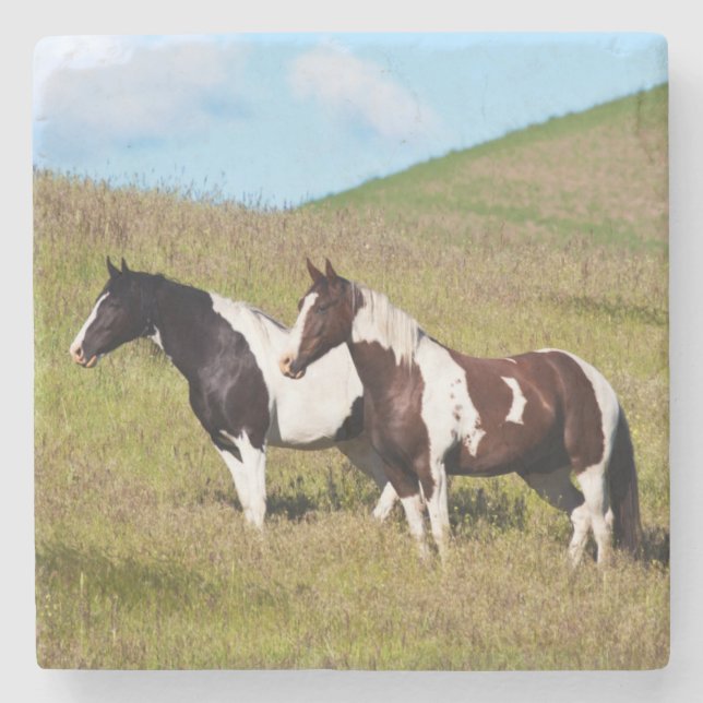 Posavasos De Piedra Caballos en la ladera (Anverso)